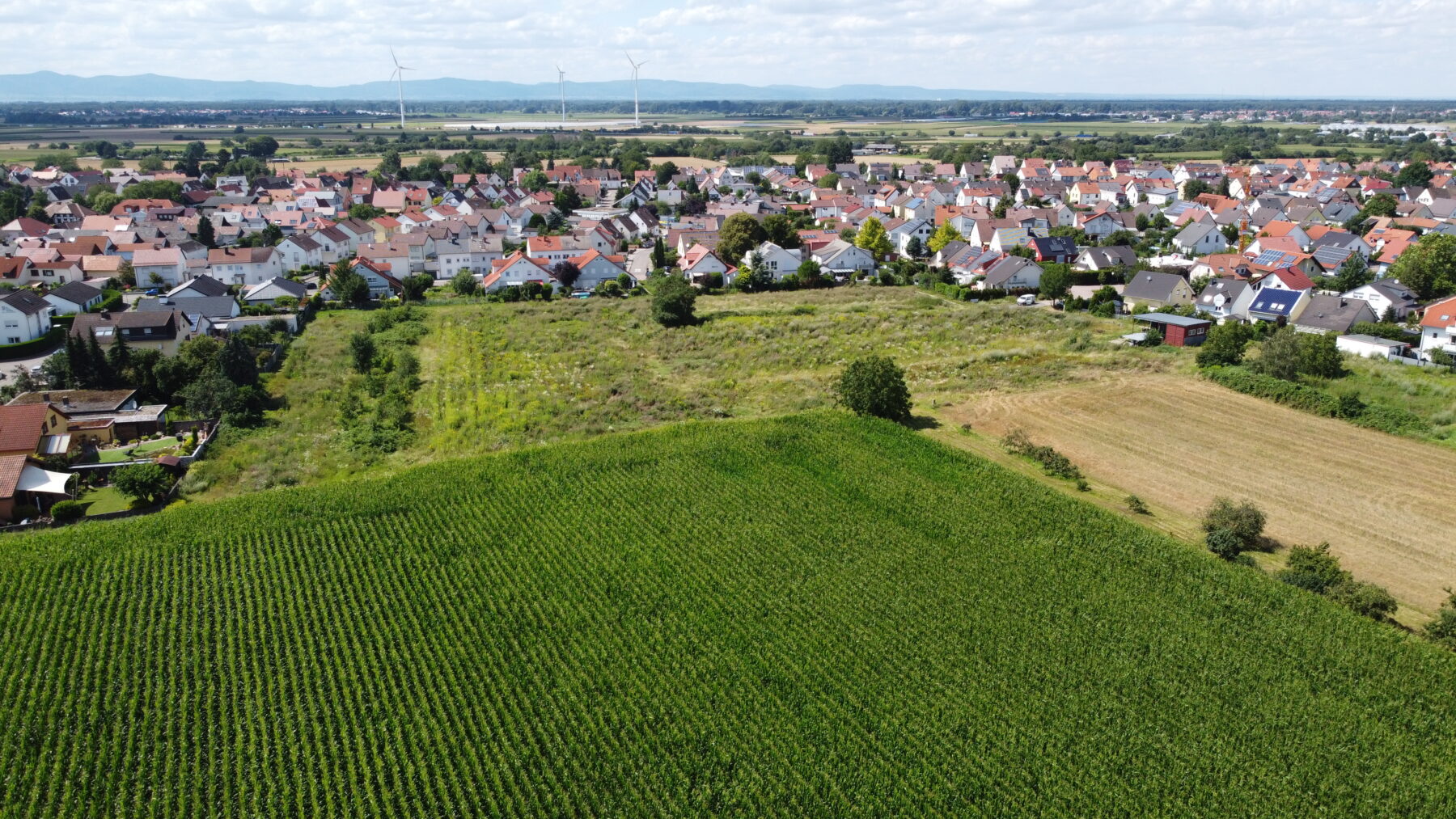 Römerberg “W4 Mittelgewanne” Luftaufnahme